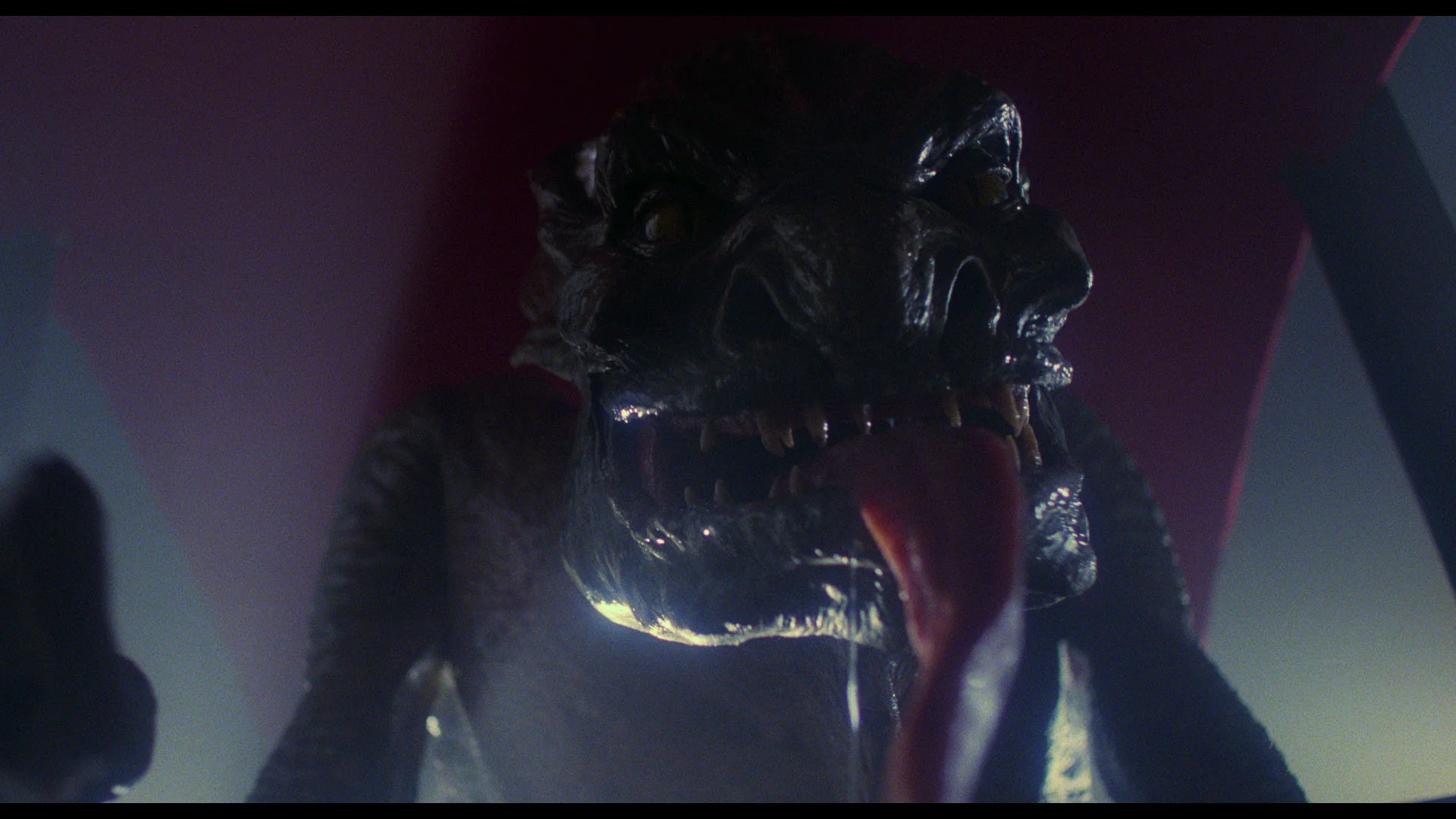 Trick or Treat [2160p 4K UHD] - Image 7